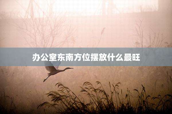 办公室东南方位摆放什么最旺