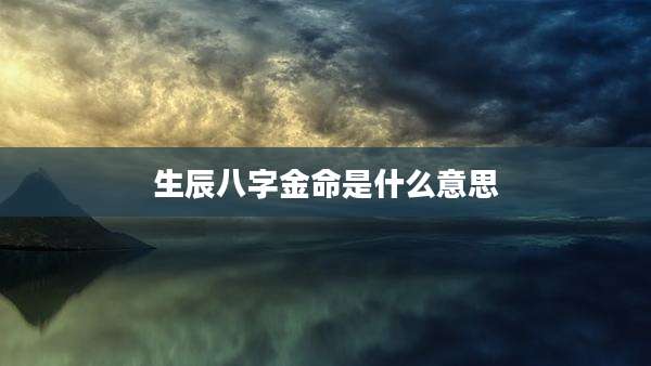 生辰八字金命是什么意思