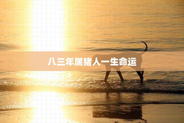 八三年属猪人一生命运