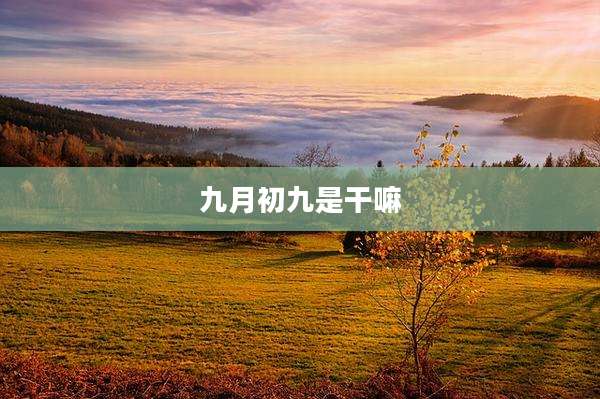 九月初九是干嘛