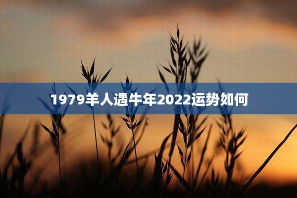 1979羊人遇牛年2022运势如何