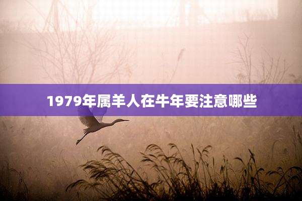 1979年属羊人在牛年要注意哪些
