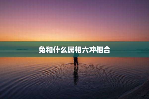 兔和什么属相六冲相合