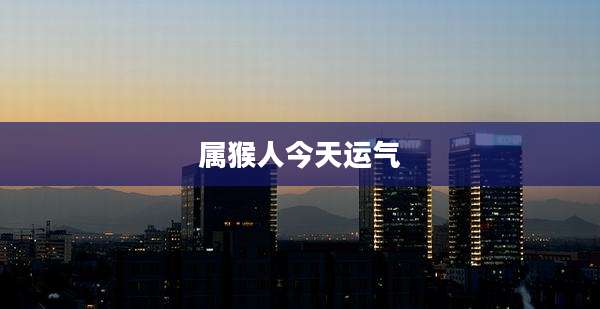 属猴人今天运气