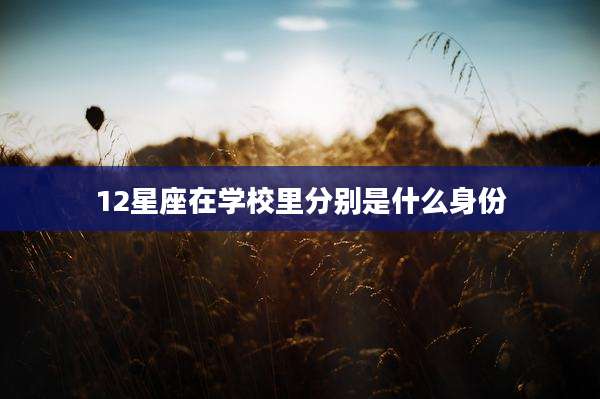 12星座在学校里分别是什么身份