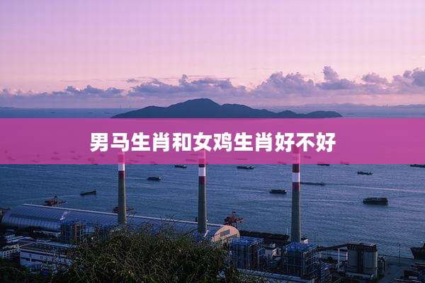 男马生肖和女鸡生肖好不好