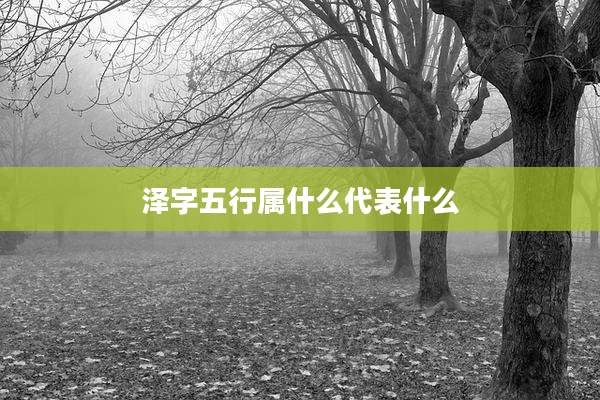 泽字五行属什么代表什么