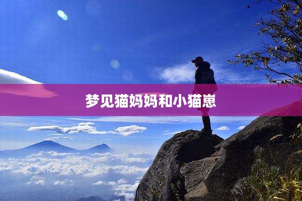 梦见猫妈妈和小猫崽