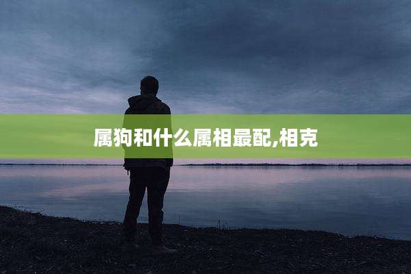 属狗和什么属相最配,相克