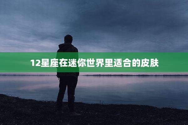 12星座在迷你世界里适合的皮肤