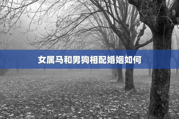 女属马和男狗相配婚姻如何
