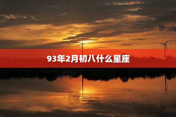 93年2月初八什么星座