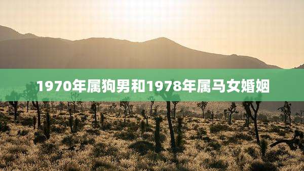 1970年属狗男和1978年属马女婚姻