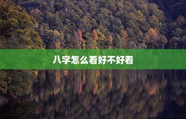 八字怎么看好不好看