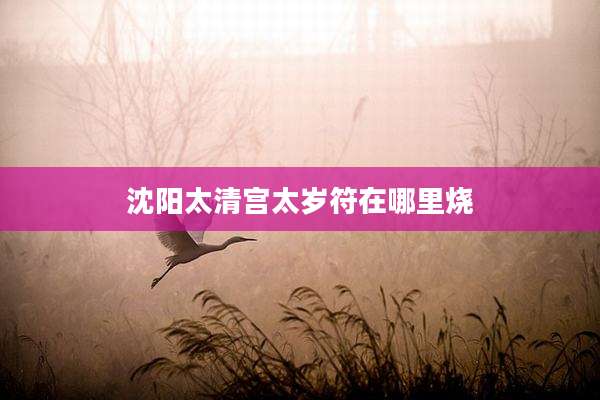 沈阳太清宫太岁符在哪里烧
