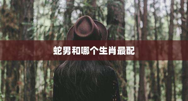 蛇男和哪个生肖最配