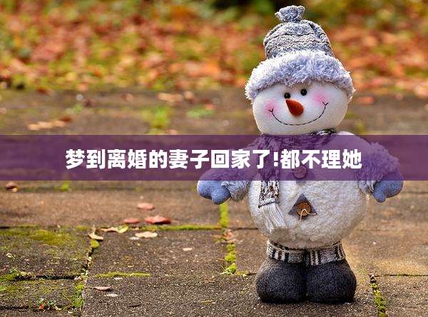 梦到离婚的妻子回家了!都不理她
