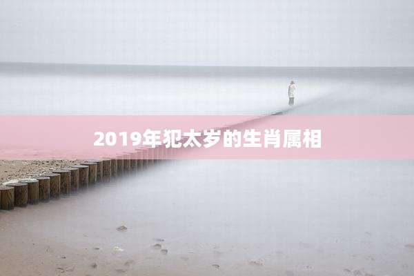 2019年犯太岁的生肖属相