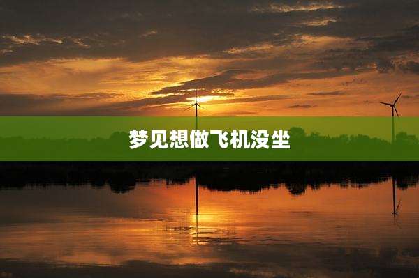 梦见想做飞机没坐