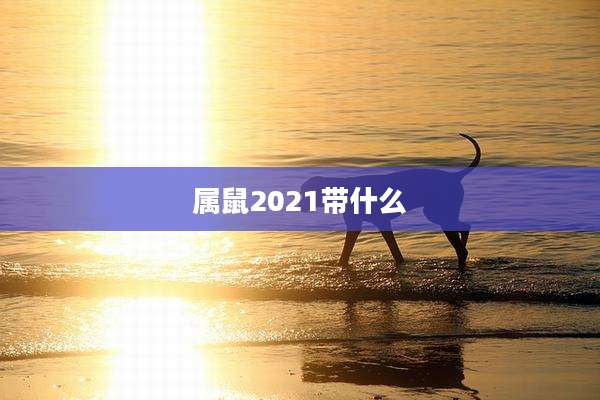 属鼠2021带什么