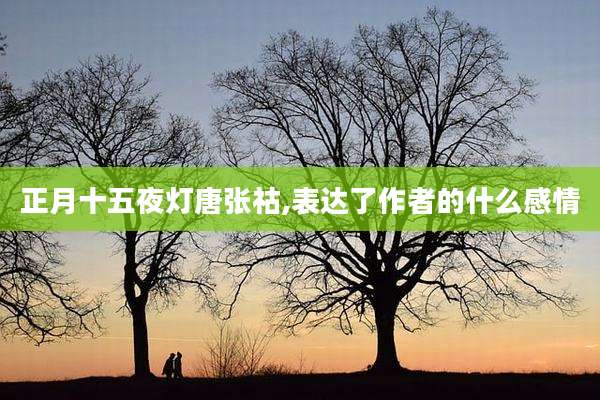 正月十五夜灯唐张祜,表达了作者的什么感情
