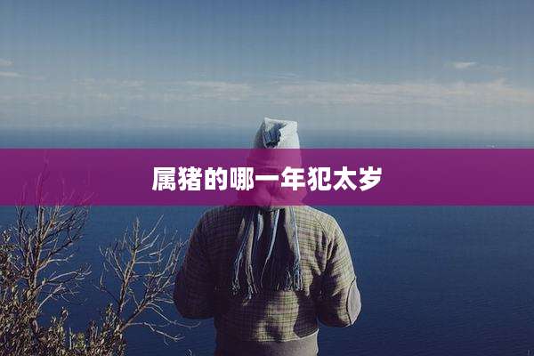 属猪的哪一年犯太岁