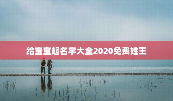给宝宝起名字大全2020免费姓王