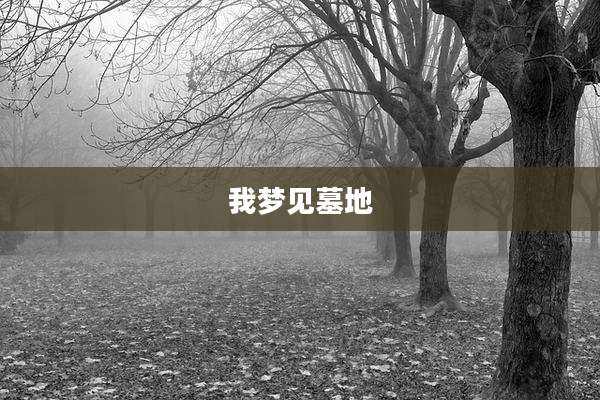 我梦见墓地