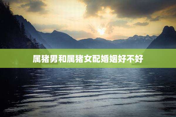 属猪男和属猪女配婚姻好不好