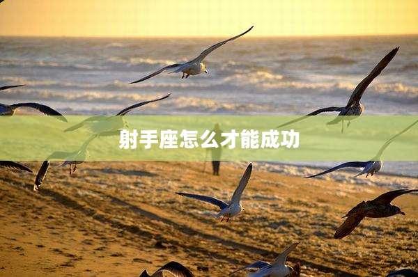 射手座怎么才能成功