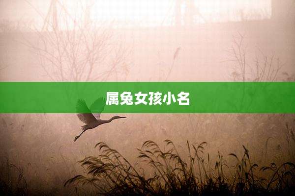 属兔女孩小名