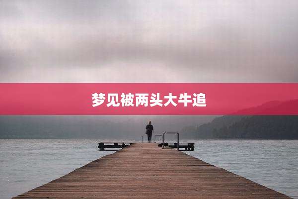 梦见被两头大牛追