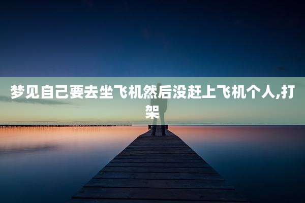 梦见自己要去坐飞机然后没赶上飞机个人,打架
