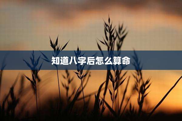 知道八字后怎么算命