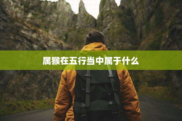 属猴在五行当中属于什么