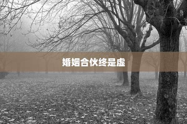 婚姻合伙终是虚