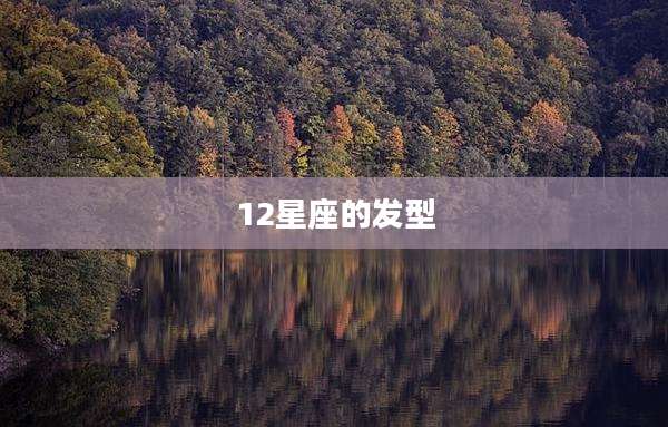 12星座的发型