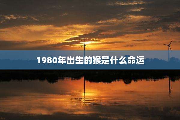 1980年出生的猴是什么命运