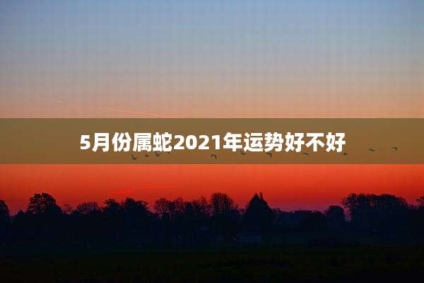 5月份属蛇2021年运势好不好