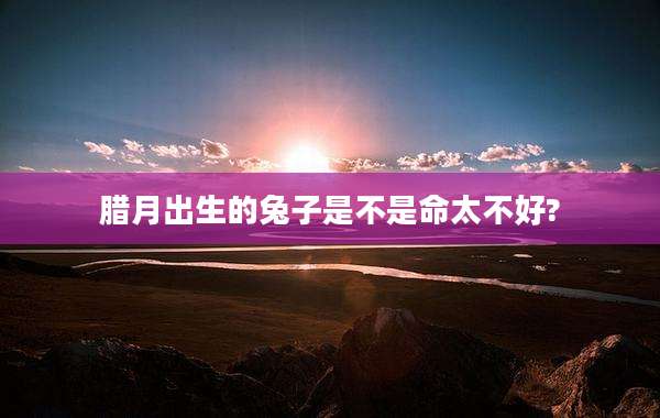 腊月出生的兔子是不是命太不好?