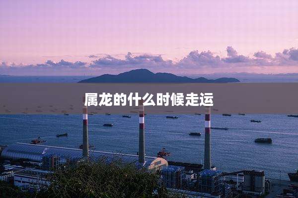 属龙的什么时候走运