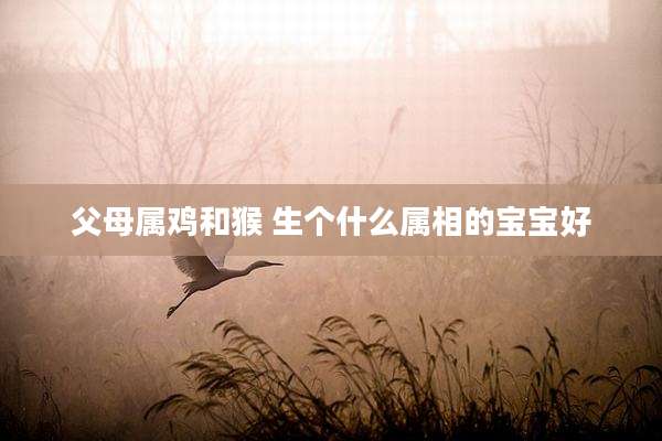 父母属鸡和猴 生个什么属相的宝宝好