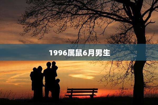 1996属鼠6月男生