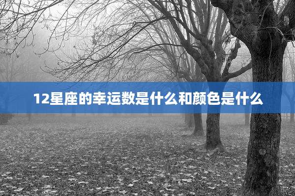 12星座的幸运数是什么和颜色是什么