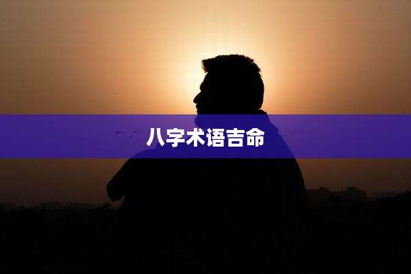 八字术语吉命