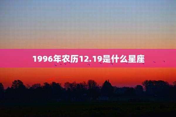 1996年农历12.19是什么星座