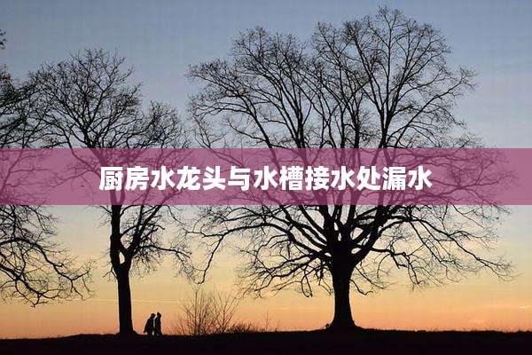 厨房水龙头与水槽接水处漏水