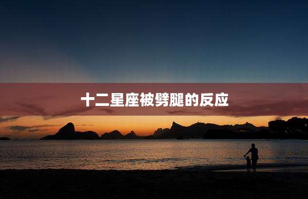十二星座被劈腿的反应