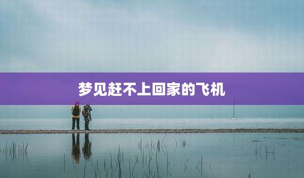 梦见赶不上回家的飞机