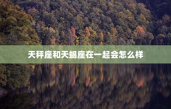 天秤座和天蝎座在一起会怎么样
